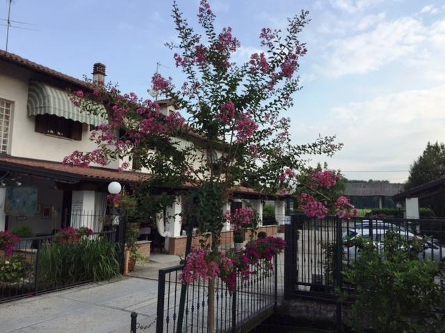 Hotel Locanda Da Carla Vigevano Exteriör bild